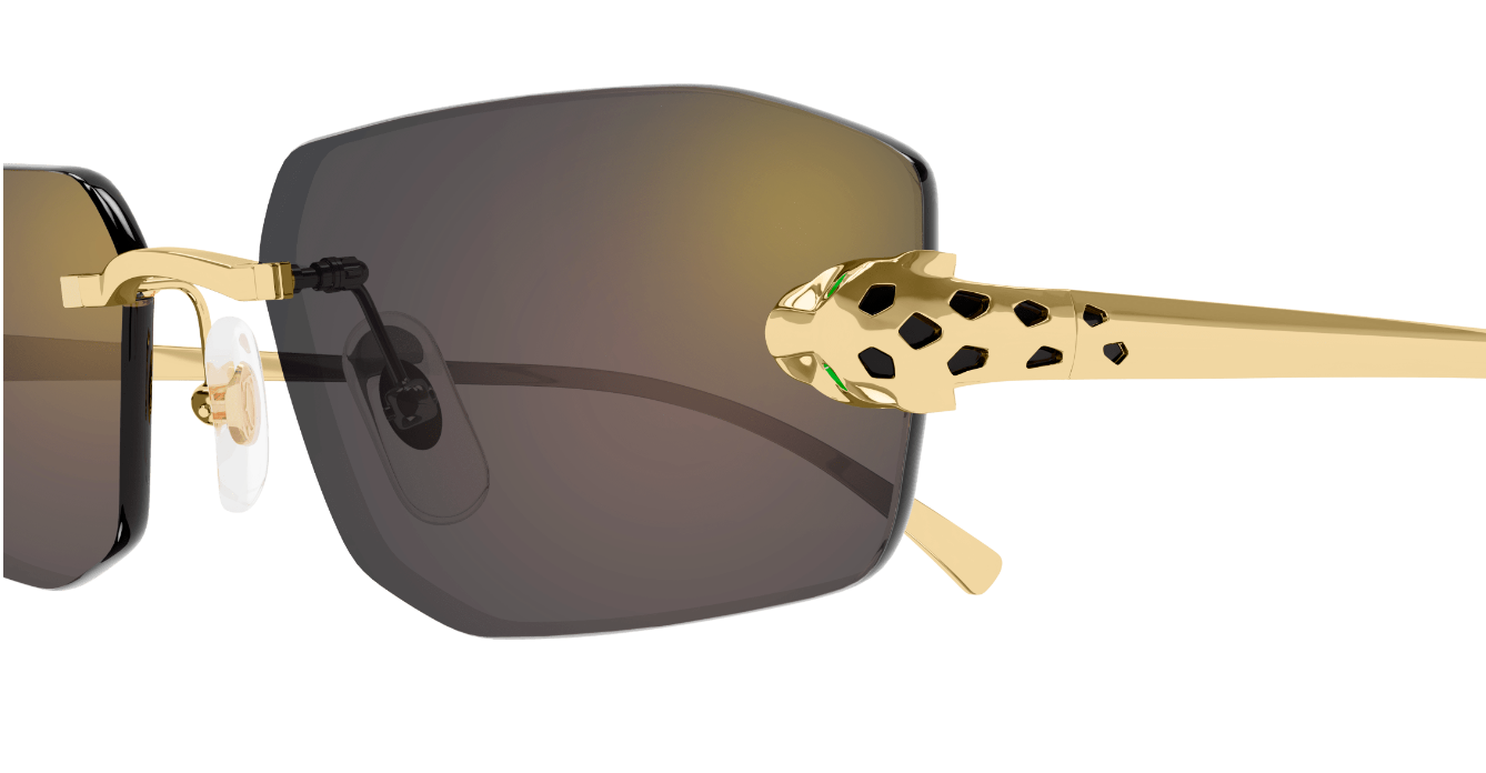 Cartier CT0474S Color 001