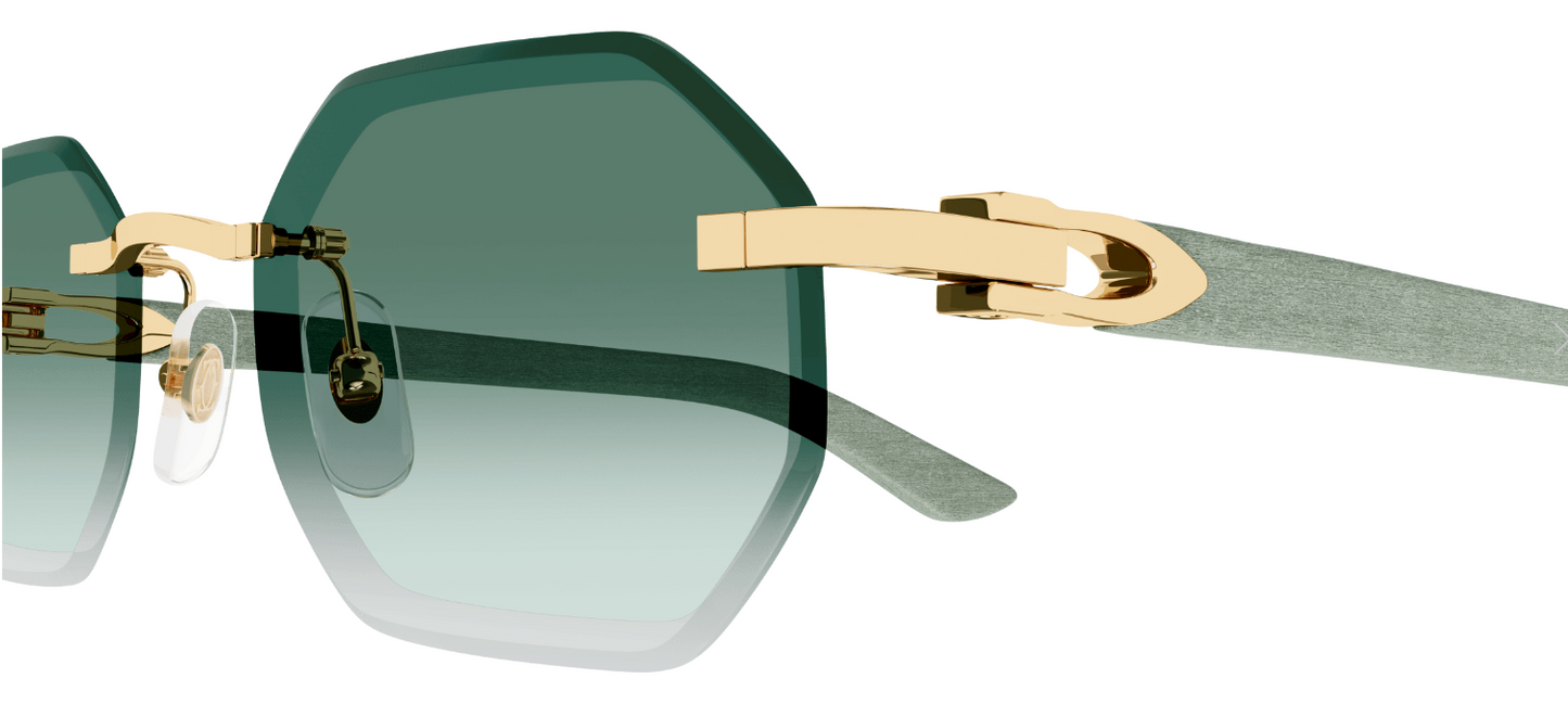 Cartier CT0439S Color 004