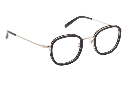 Titan 02 Color  Champagne gold/ebony tanganyika