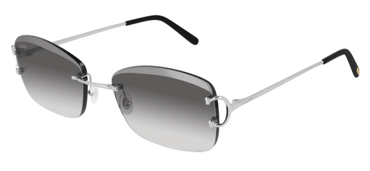 Cartier CT0010RS Color 001