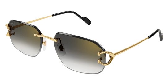 Cartier CT0468S Color 001