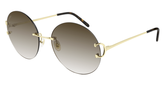 Cartier CT0036RS Color 001